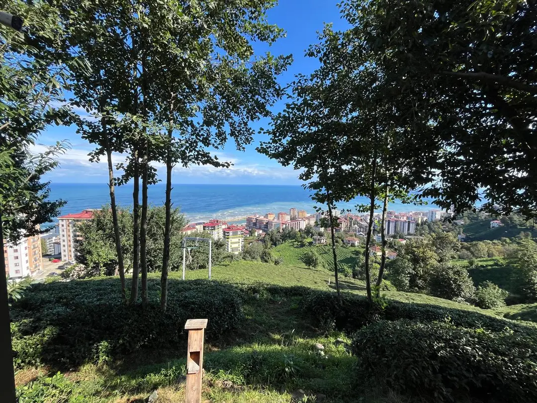 Kızılagaç Bungalov Rize — Rize — küçük resim 8