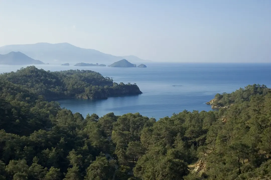 Katrancı Koyu Tabiat Parkı — Muğla — küçük resim 3