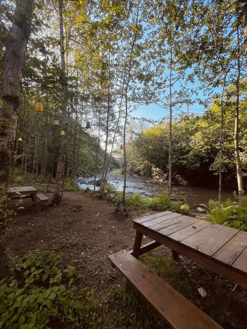 Aliki 2+1 Suit | Rize Bungalov — Rize — küçük resim 8
