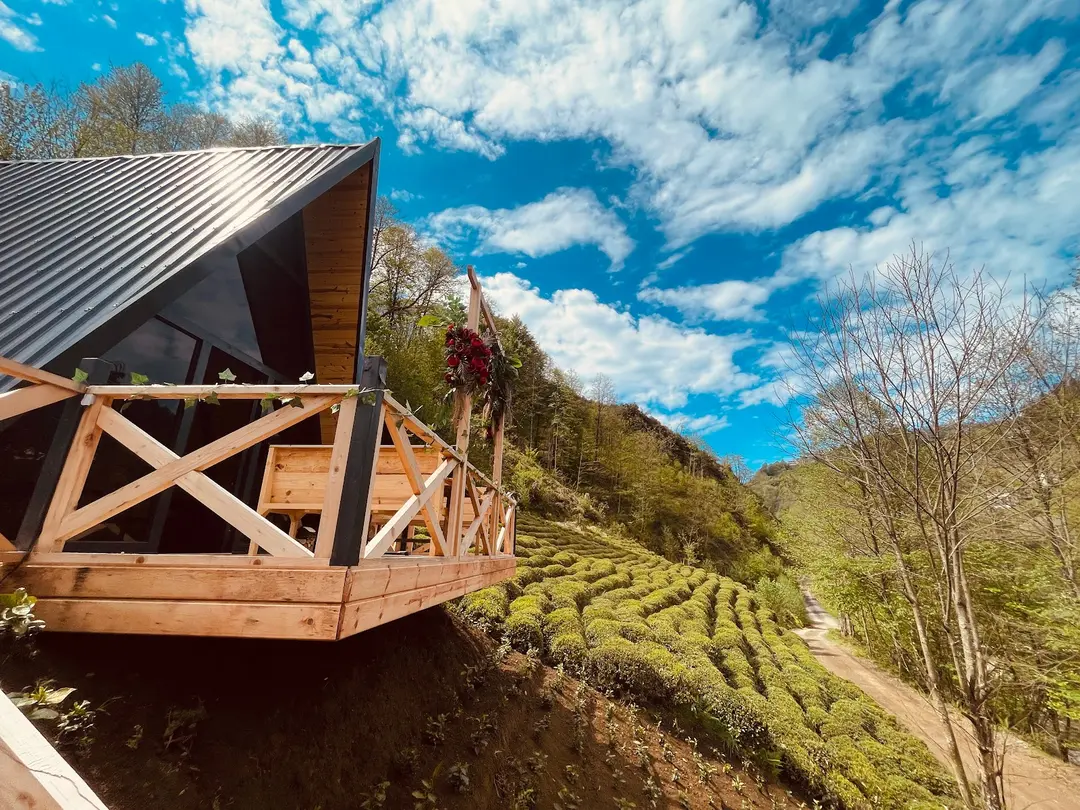 Aliki 2+1 Suit | Rize Bungalov — Rize — küçük resim 3