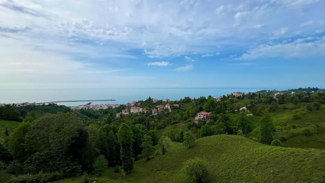 Rize Mavera Bungalov — Rize — küçük resim 2