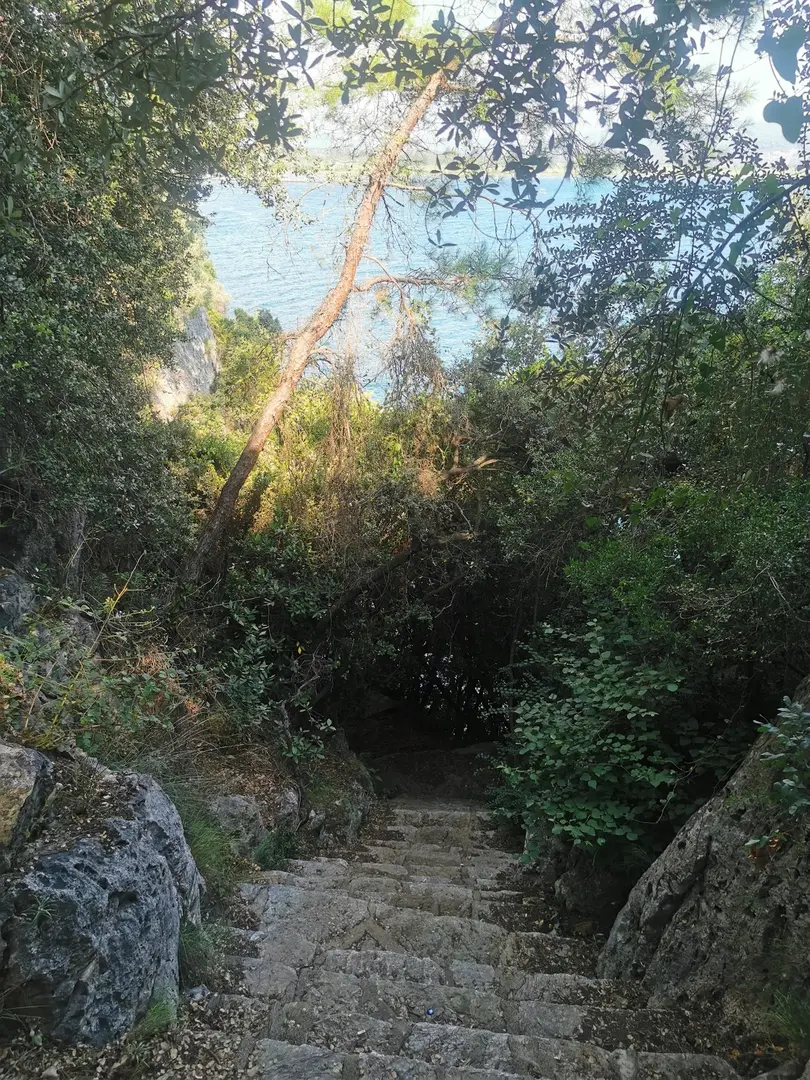 Orman Kampı deniz kıyısı — Muğla — küçük resim 7