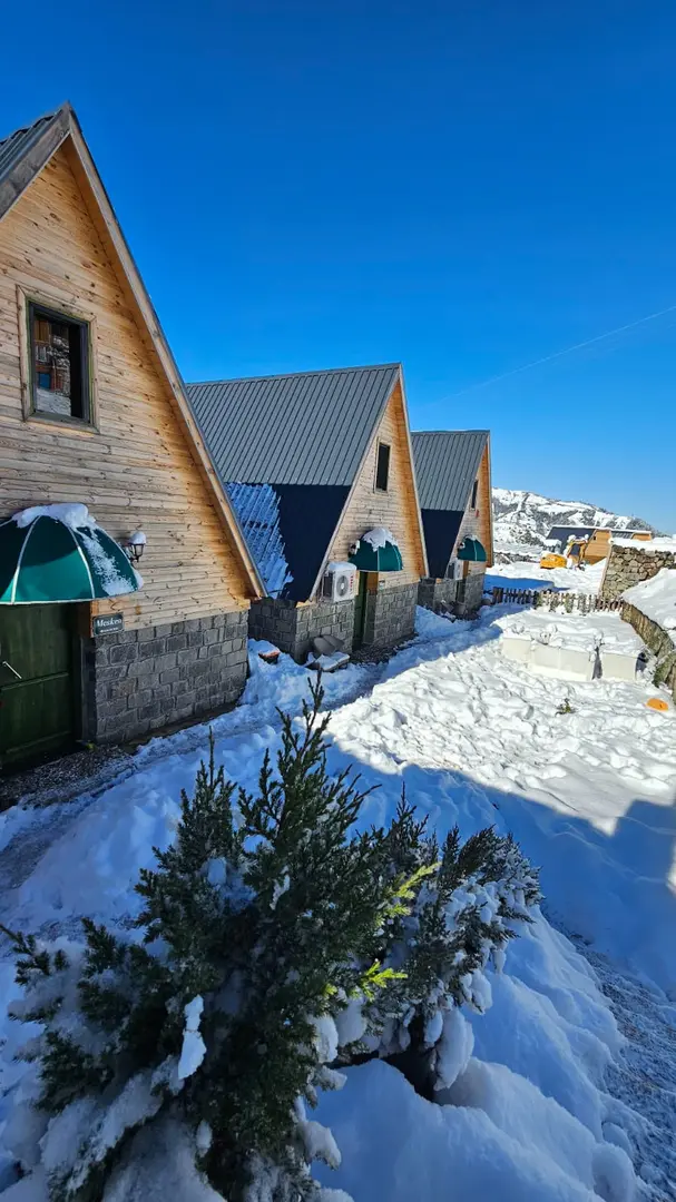 Şeni Bungalov — Rize — küçük resim 4