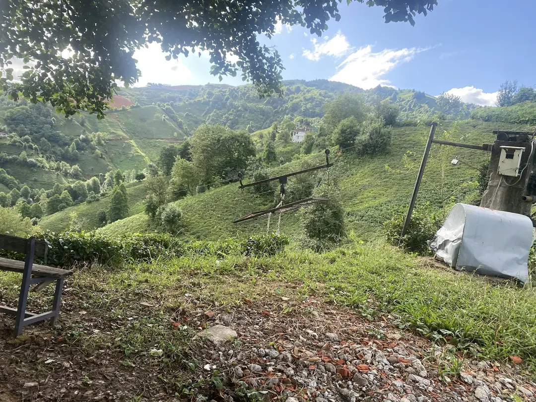 Heidi Bungalov — Rize — küçük resim 8