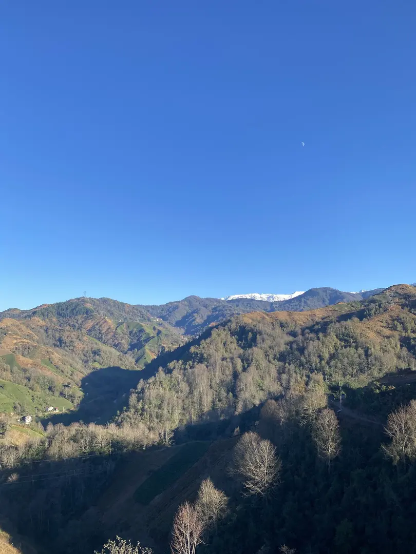 Gültepe Bungalov — Rize — küçük resim 6