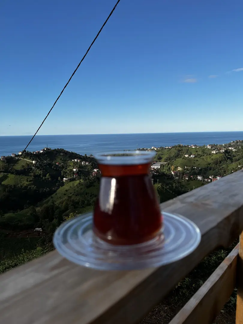 Gültepe Bungalov — Rize — küçük resim 5