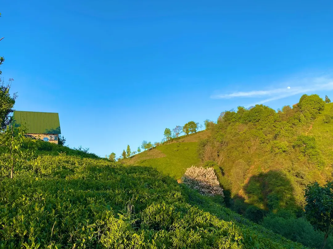 İNZİVA BUNGALOV — Rize — küçük resim 7