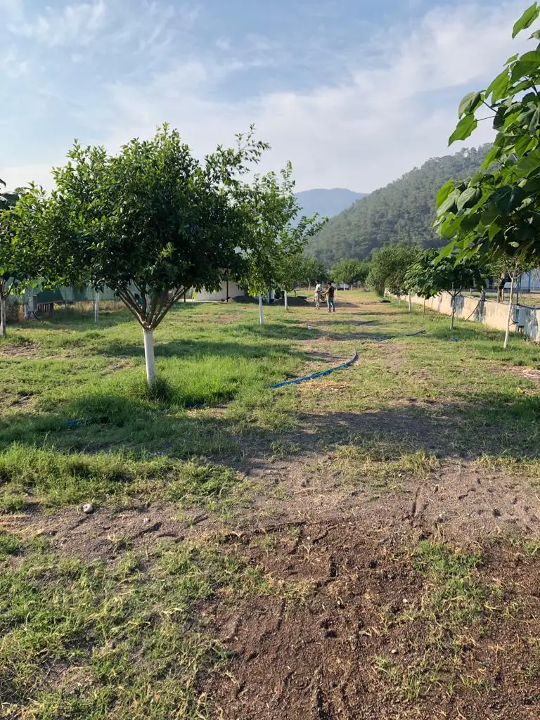 Ekincik Pavlonya Caravan and Tent Camping — Muğla — küçük resim 8
