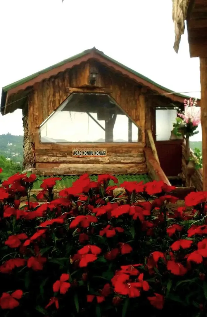 Ağaç kondu konak — Rize — küçük resim 2