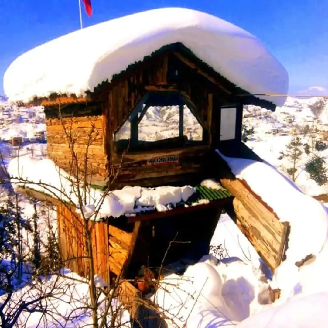Ağaç kondu konak — Rize — küçük resim 3