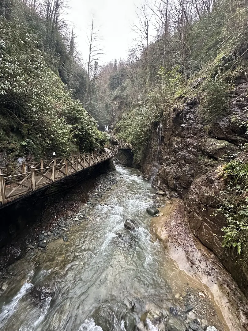 Tunca Vadisi Tabiat Parkı — Rize — küçük resim 10