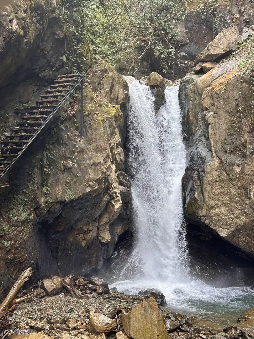 Tunca Vadisi Tabiat Parkı — Rize — küçük resim 3