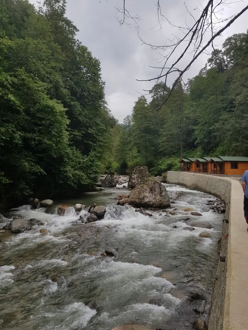Tunca Vadisi Tabiat Parkı — Rize — küçük resim 4
