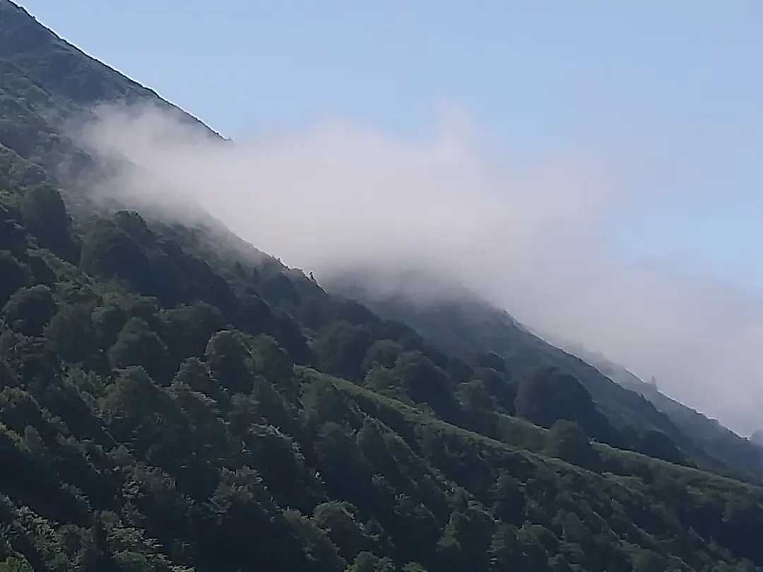 Tunca Vadisi Tabiat Parkı — Rize — küçük resim 8