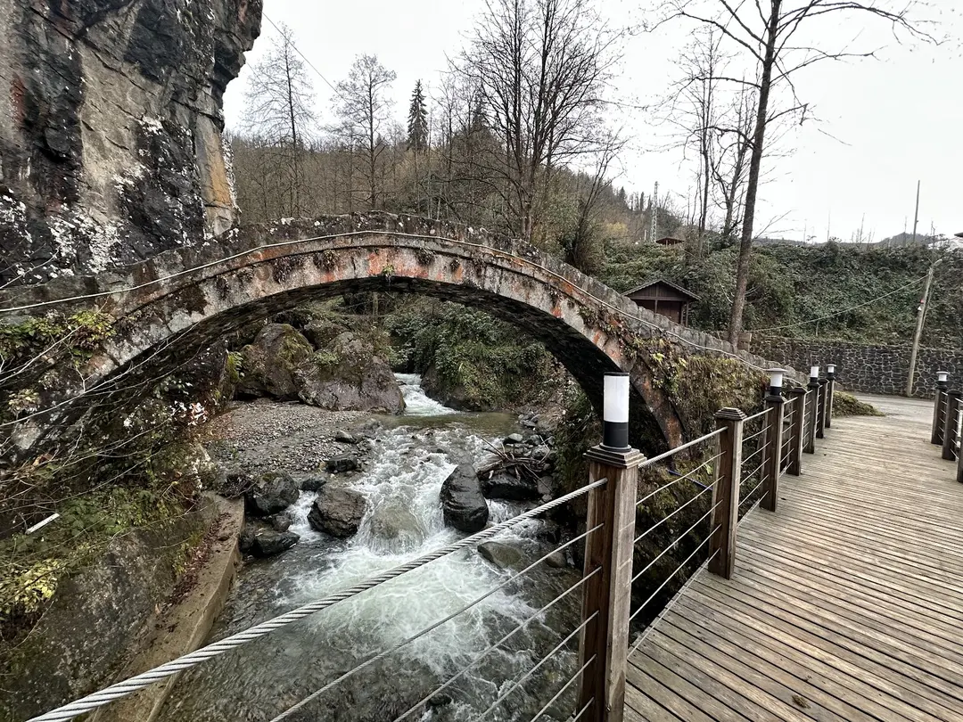 Tunca Vadisi Tabiat Parkı — Rize — küçük resim 5