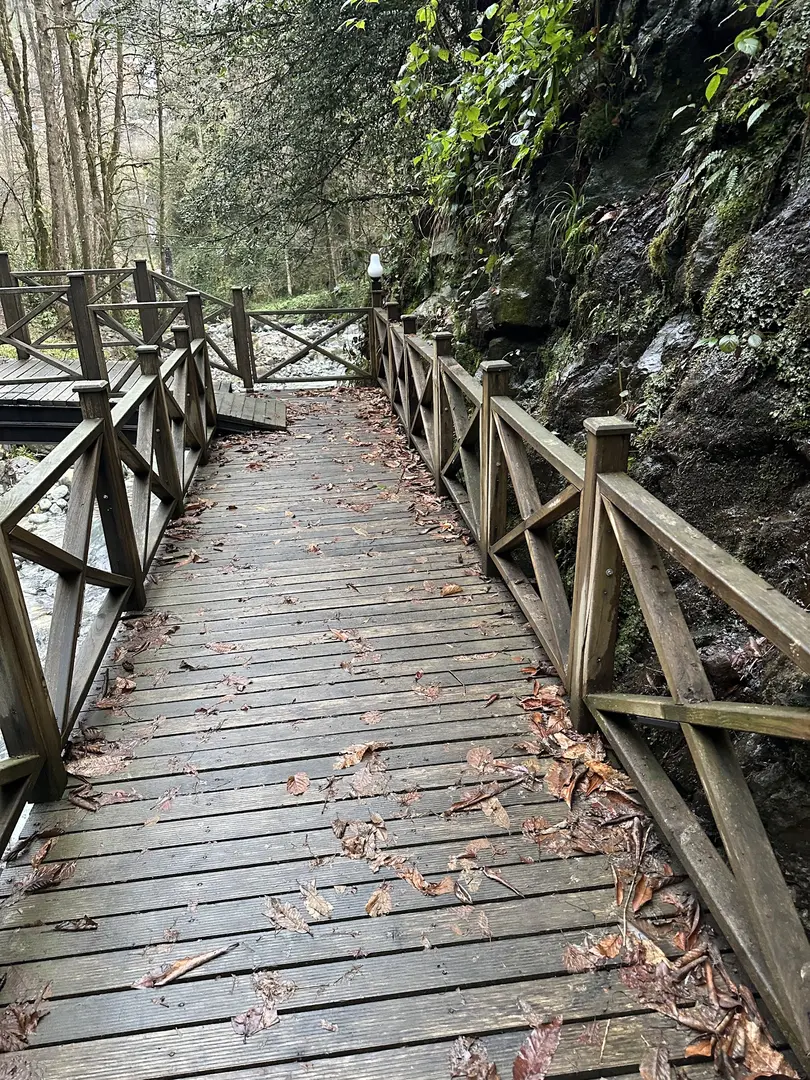 Tunca Vadisi Tabiat Parkı — Rize — küçük resim 9