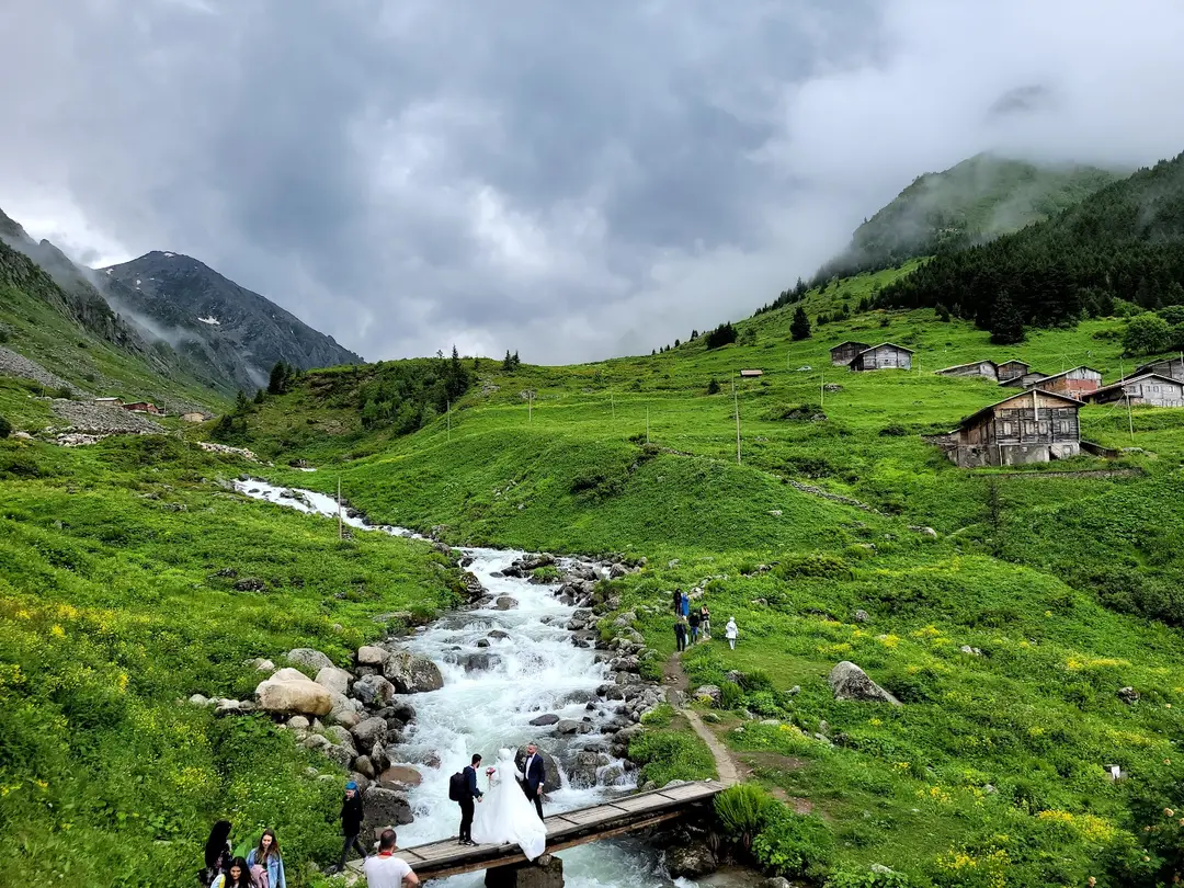 Elevit Yaylası — Rize — küçük resim 4