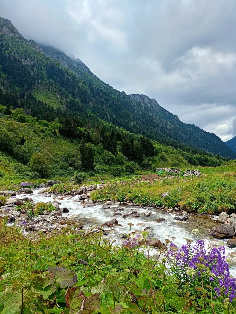 Elevit Yaylası — Rize — küçük resim 3