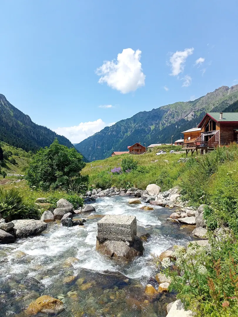 Elevit Yaylası — Rize — küçük resim 9