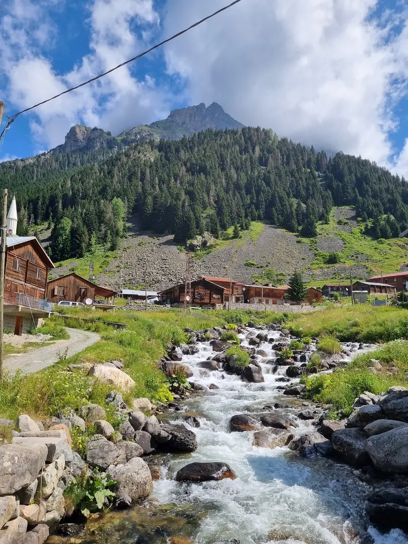 Elevit Yaylası — Rize — küçük resim 6