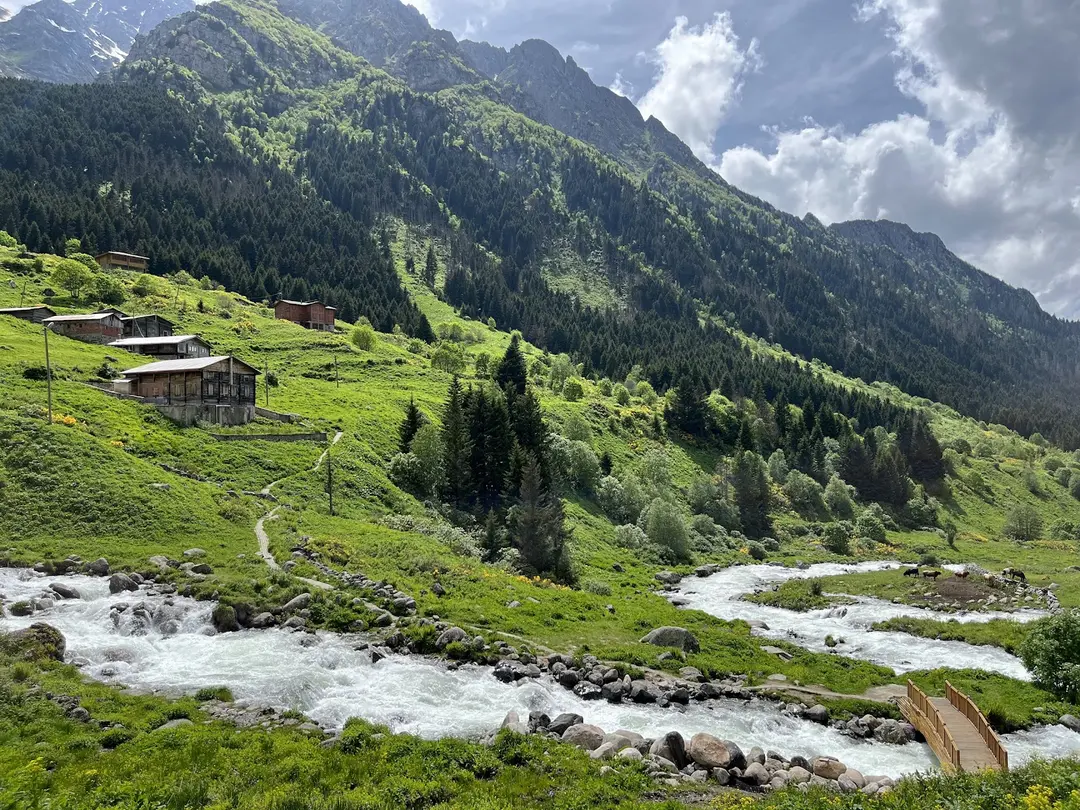 Elevit Yaylası — Rize — küçük resim 8