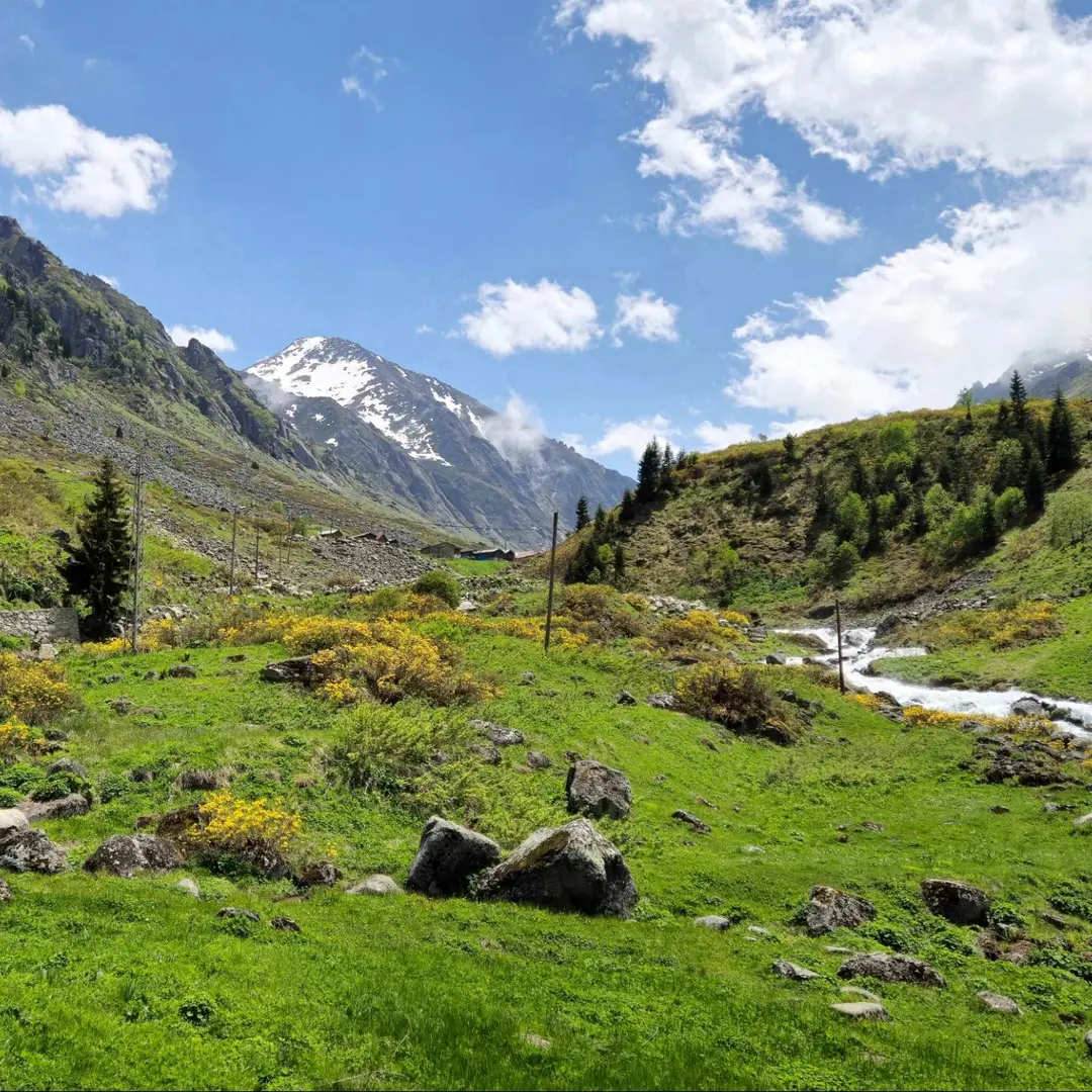 Elevit Yaylası — Rize — küçük resim 5