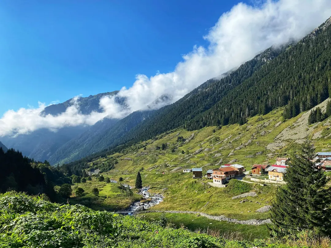 Elevit Yaylası — Rize — küçük resim 2