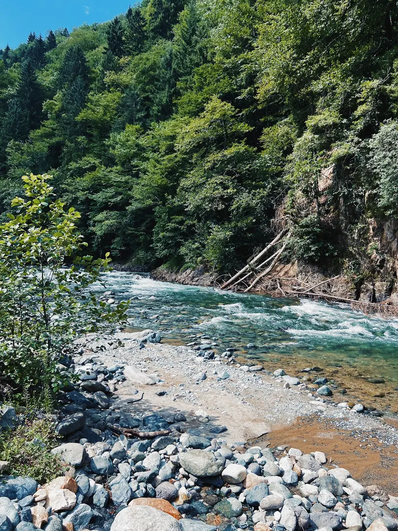 Moçkar Tiny House — Rize — küçük resim 6