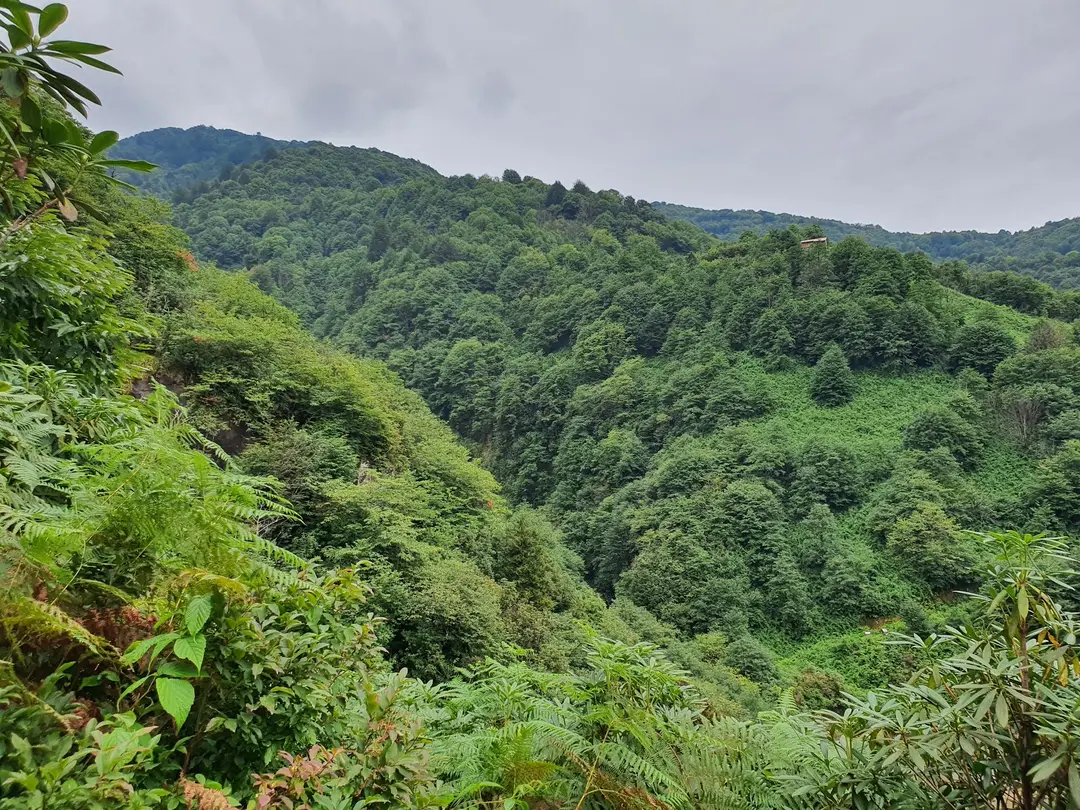 Ağaran Waterfall — Rize — küçük resim 7