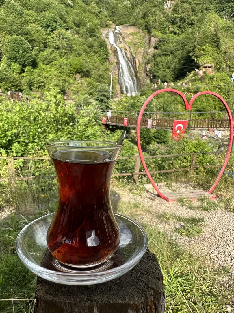 Ağaran Waterfall — Rize — küçük resim 6