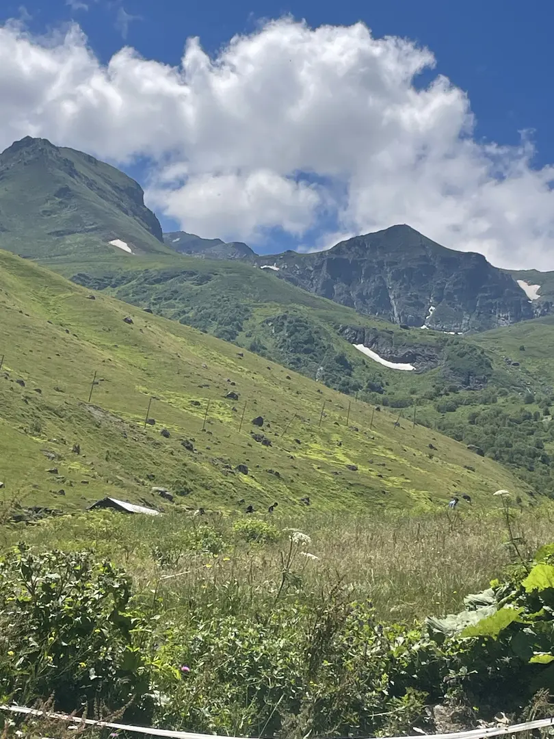 Avusor Yaylası — Rize — küçük resim 5