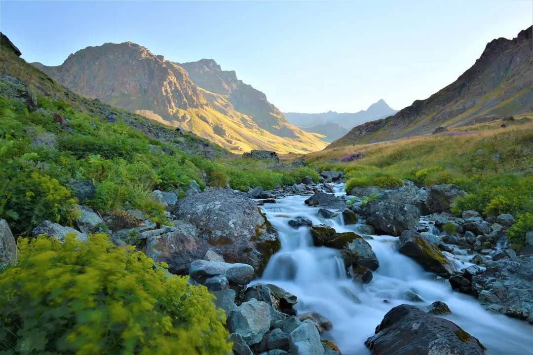 Dilber Düzü Mevki — Artvin — küçük resim 7