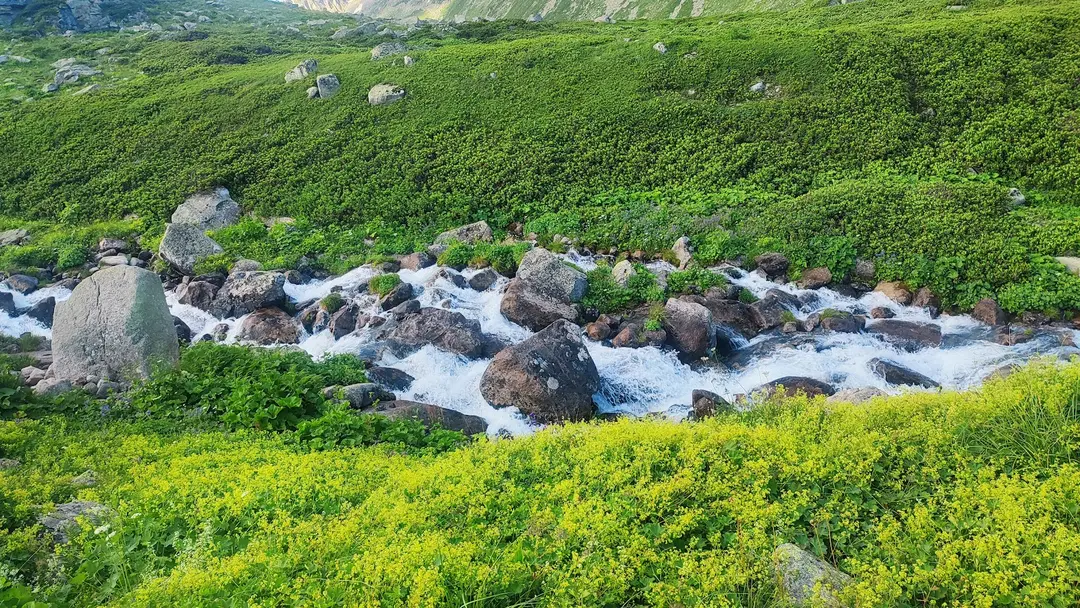 Mezovit Gölü Mevki — Rize — küçük resim 5