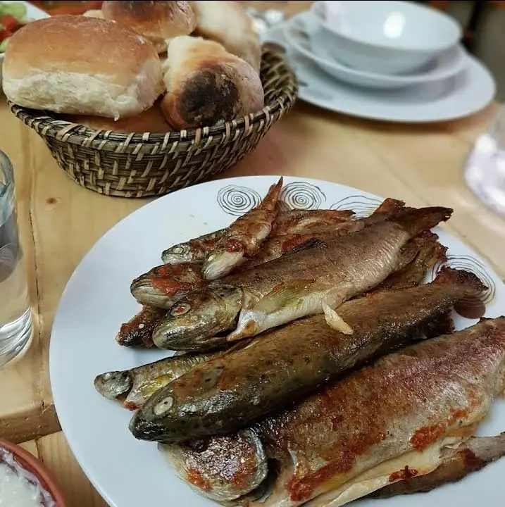 LADIN MOUNTAIN HOUSE ACCOMMODATION RİZE — Rize — küçük resim 4