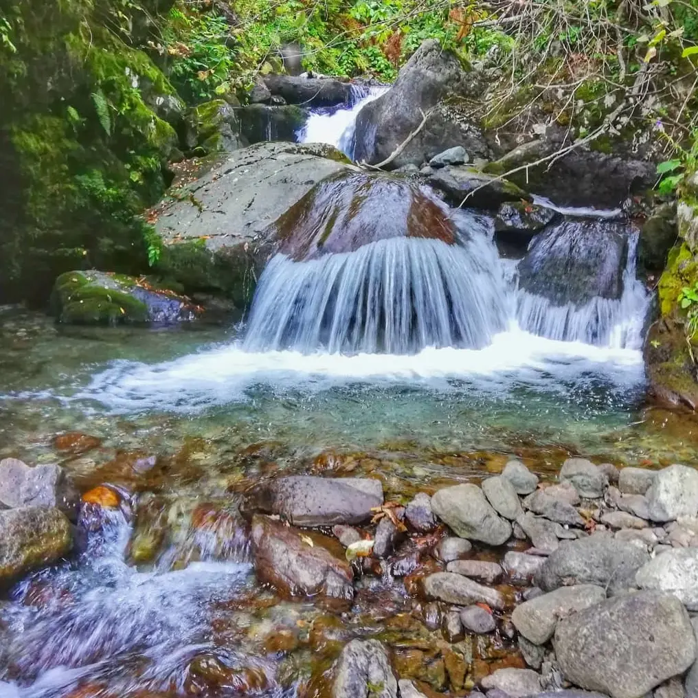 LADIN MOUNTAIN HOUSE ACCOMMODATION RİZE — Rize — küçük resim 5