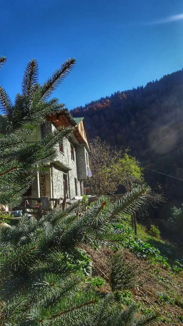 LADİN DAĞ EVİ KONAKLAMA RİZE