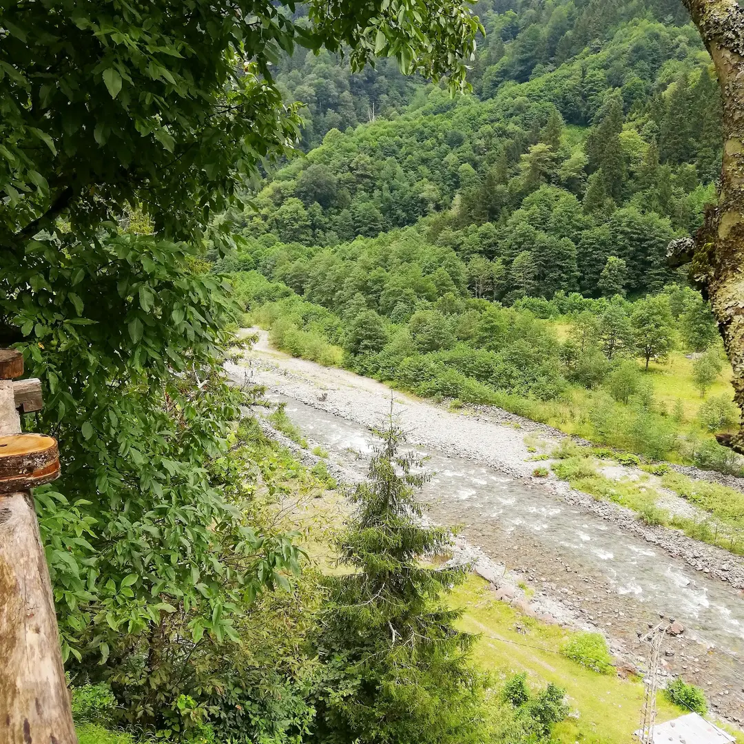 LADIN MOUNTAIN HOUSE ACCOMMODATION RİZE — Rize — küçük resim 3