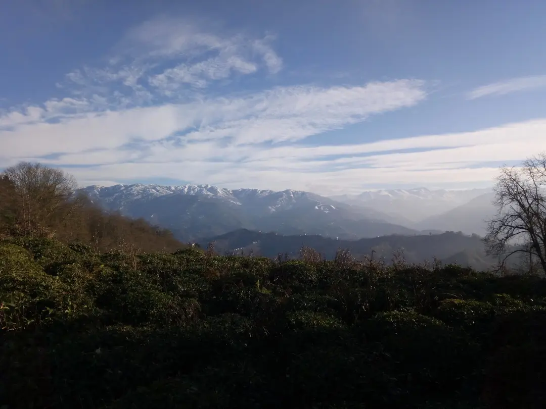 Kuspa Tepesi — Rize — küçük resim 3
