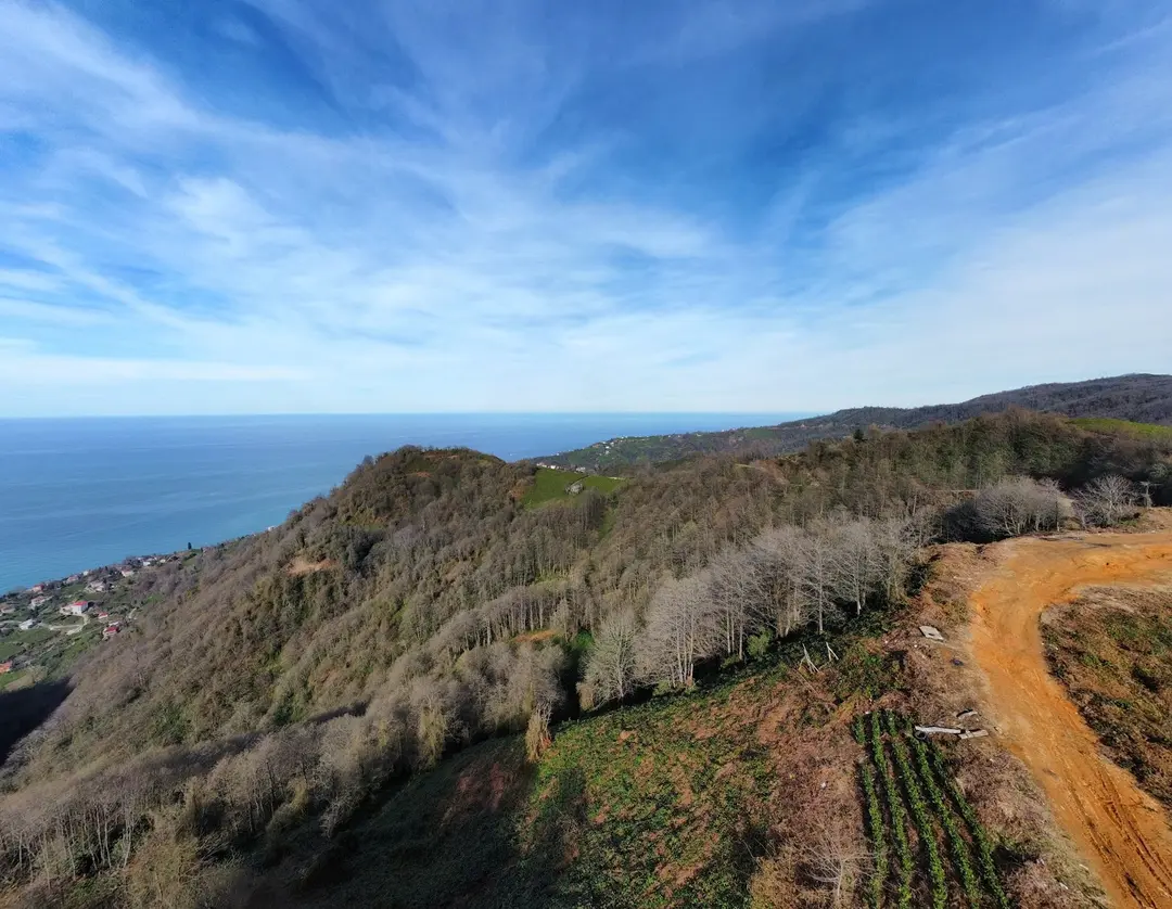 Kuspa Tepesi — Rize — küçük resim 7