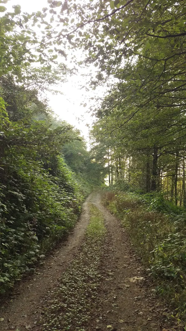 Kuspa Tepesi — Rize — küçük resim 5