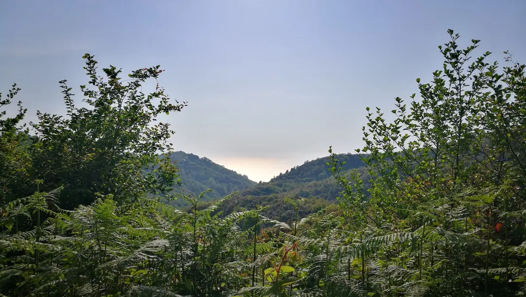 Kuspa Tepesi — Rize — küçük resim 6