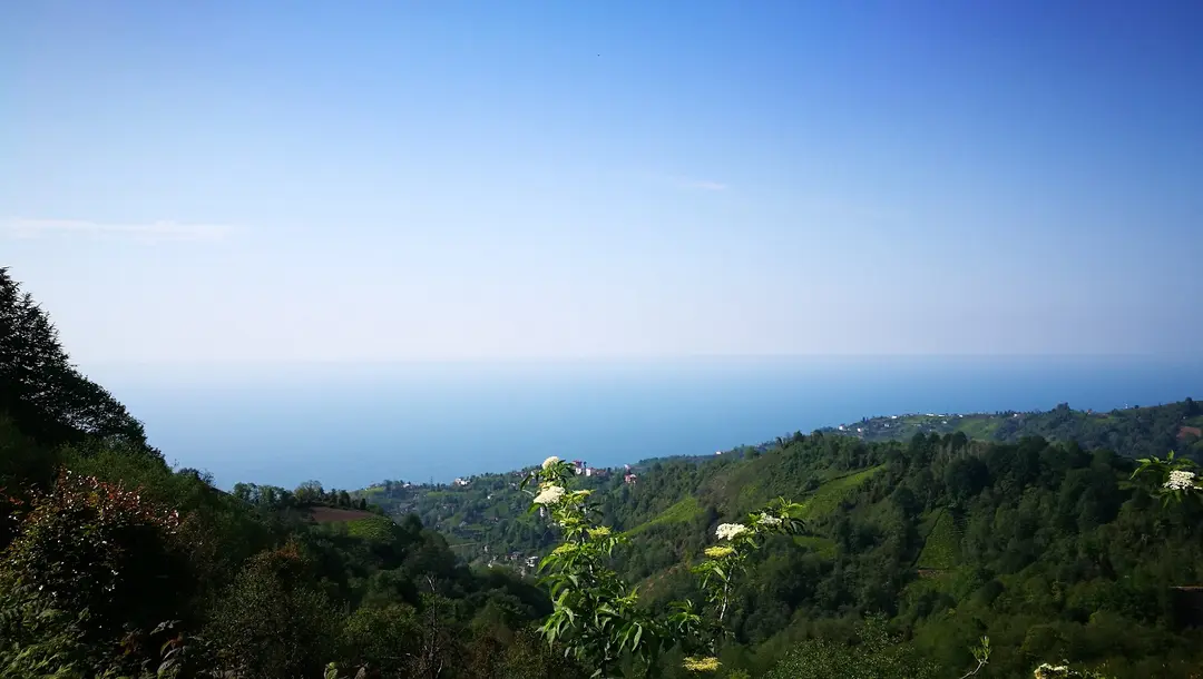 Kuspa Tepesi — Rize — küçük resim 2