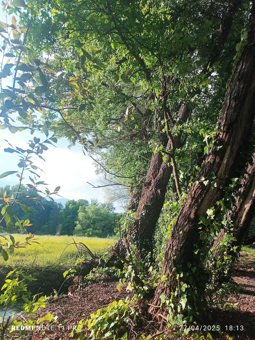Köyceğiz Karavan Park — Muğla — küçük resim 4