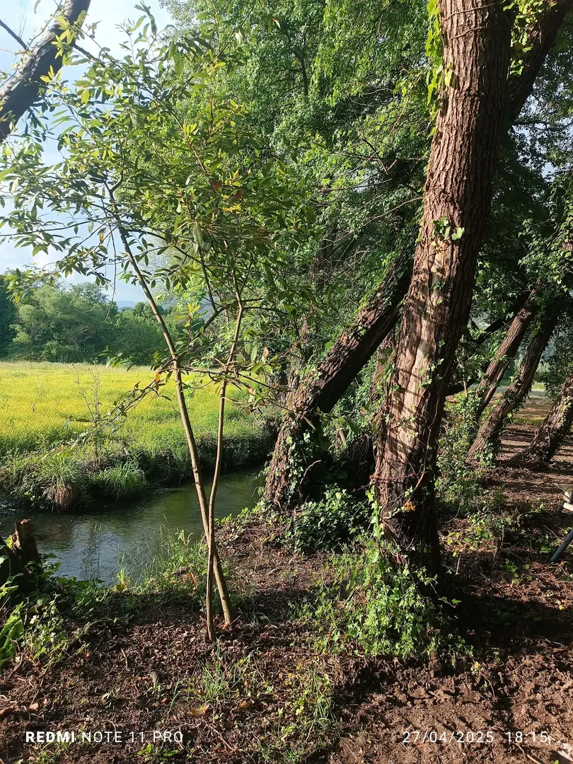 Köyceğiz Karavan Park — Muğla — küçük resim 2