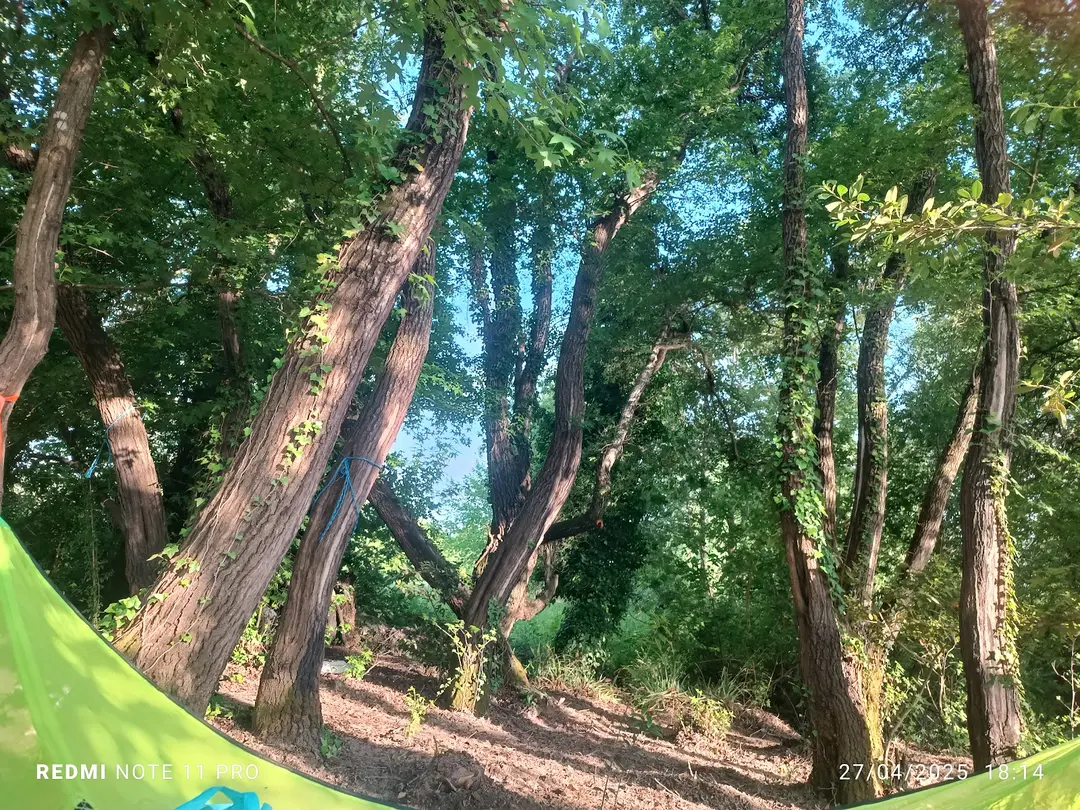 Köyceğiz Karavan Park — Muğla — küçük resim 6
