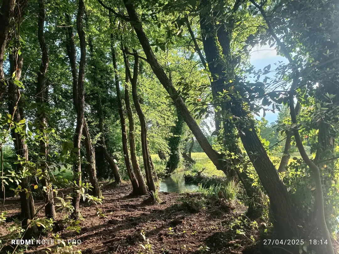 Köyceğiz Karavan Park — Muğla — küçük resim 5