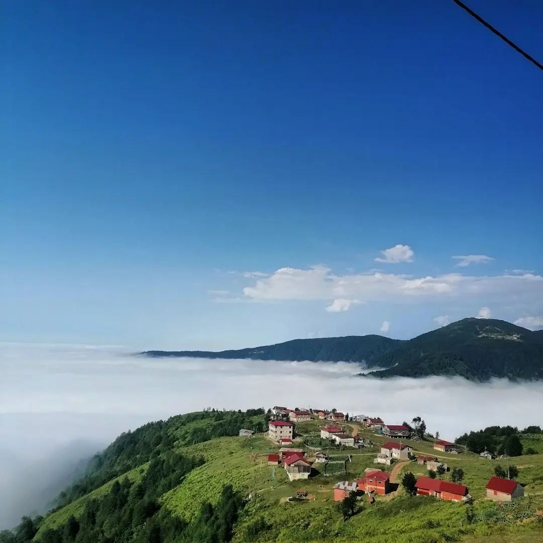 Handüzü Yaylası — Rize — küçük resim 4