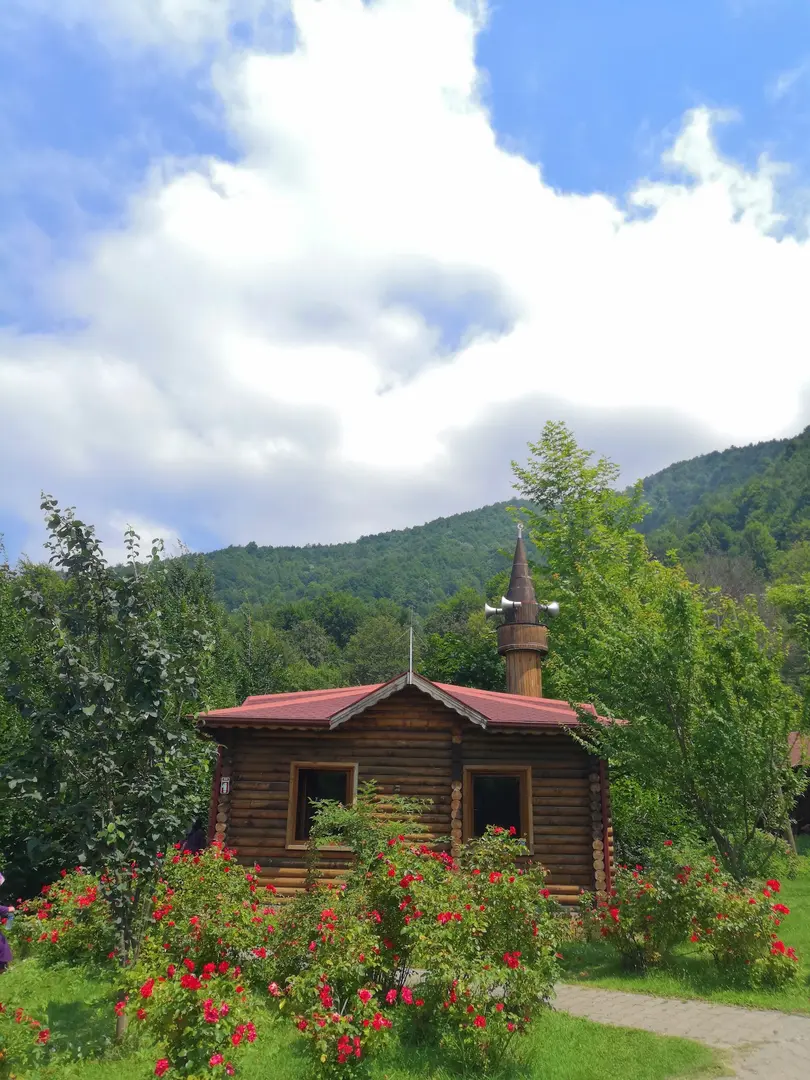 Güzeldere Wasserfall Naturpark — Düzce — küçük resim 9