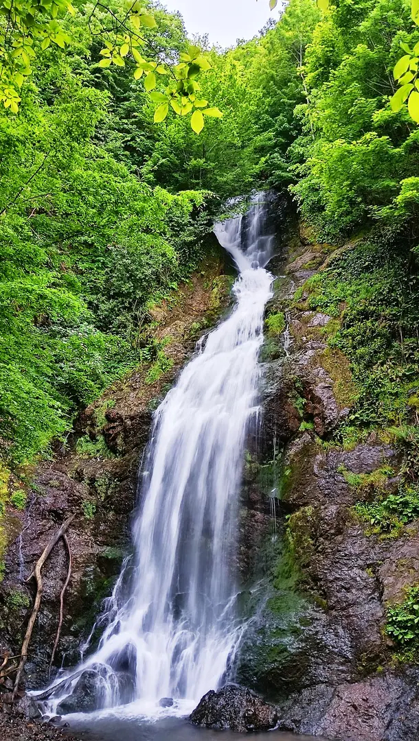 Aydınpınar Wasserfall Naturpark — Düzce — küçük resim 5