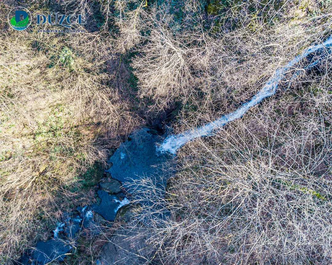Aydınpınar Wasserfall Naturpark — Düzce — fotoğraf 1